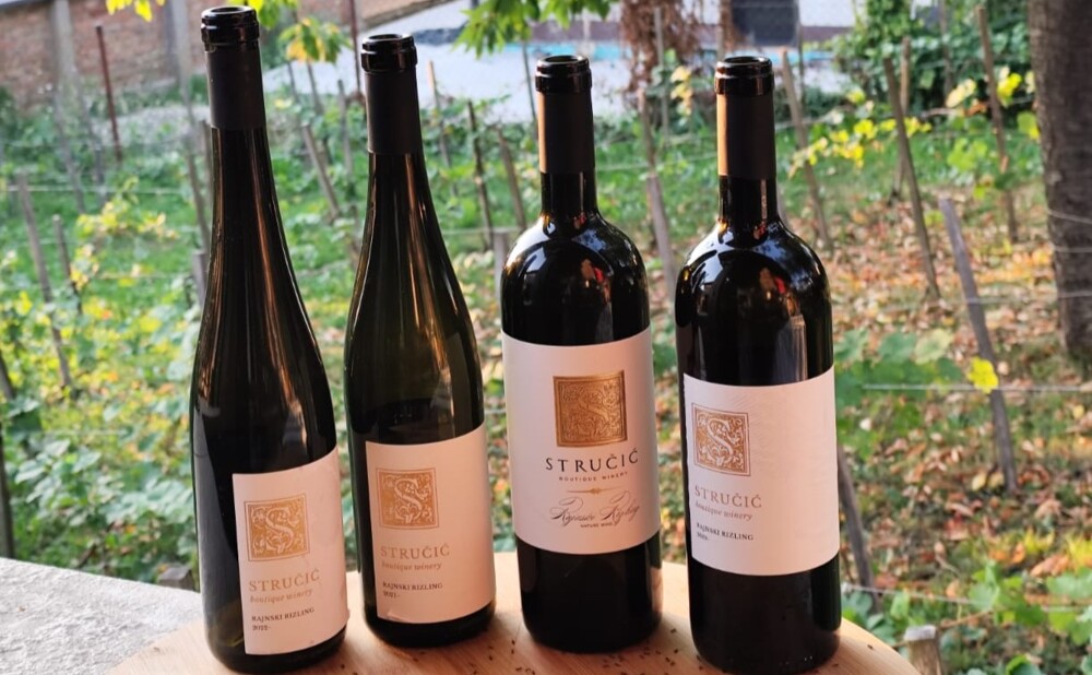 Stručić rizlinzi