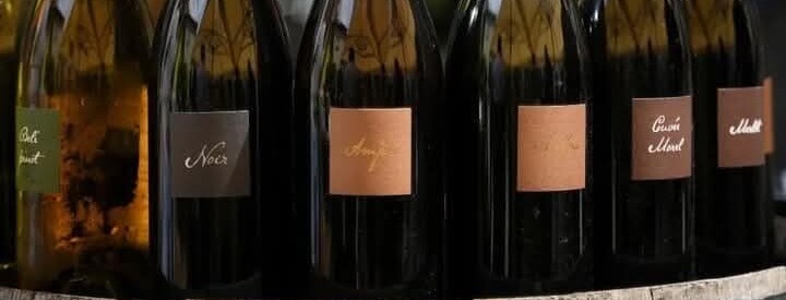 Vina Kabaj 21. studenog od 17 sati na Afterworku u Vintesi u Kranjčevićevoj 67