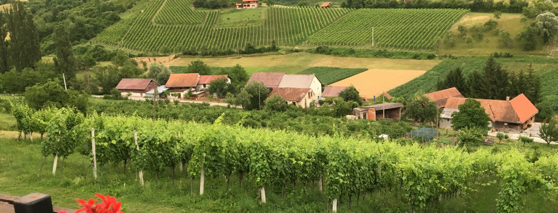 Frlan iz Vivodine i Šimanović iz Pribića predstavit će vina na Rizlingu Raj(n)skom u hotelu Capital 22. studenog