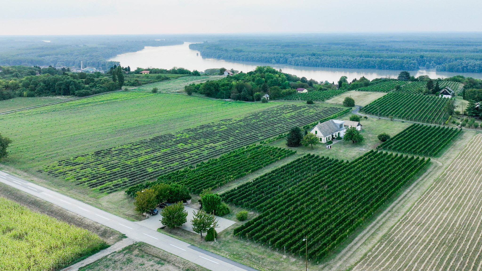 K55 Winery and Distillery