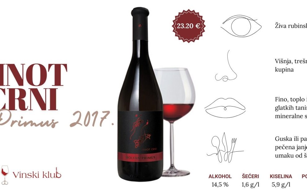 Čaša elegantnog crnog vina uz pečenu gusku i jesenski stol inspiriran proslavom Martinja.