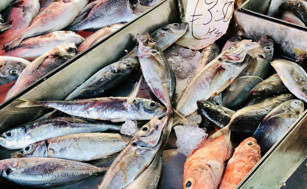 Čaše bijelog i crnog vina poslužene uz jela od srdele, oslića, orade i tune na mediteranskom stolu.