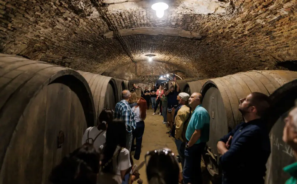 At the Vina Erdut winery guests were greeted with sparkling wine, strawberries and Danube views.