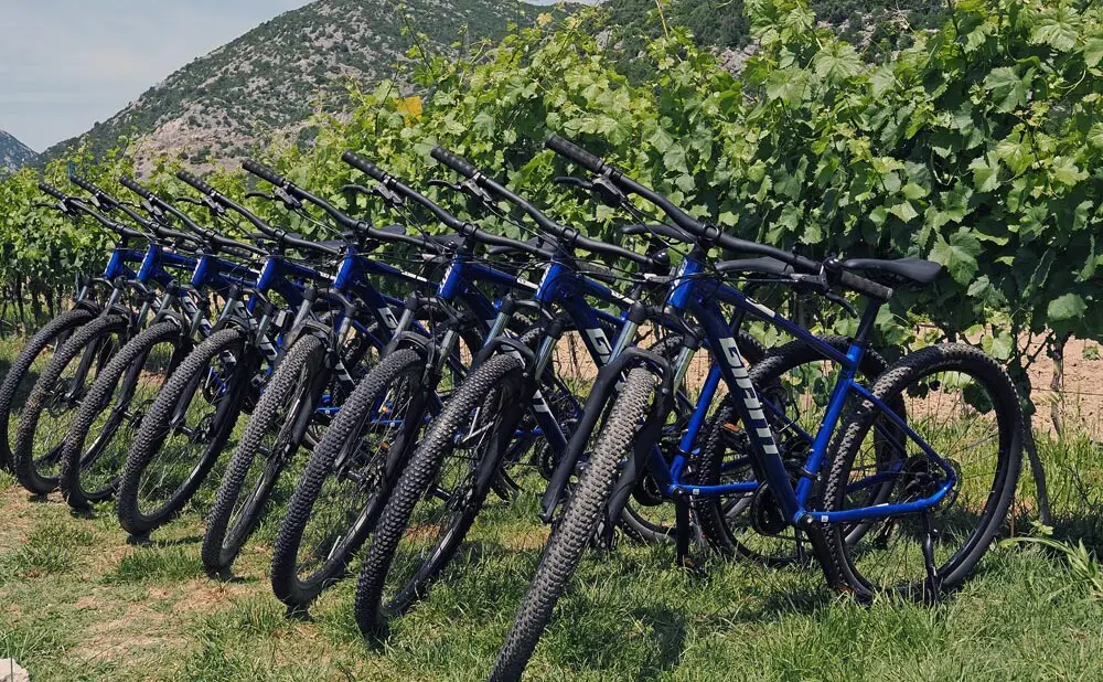 Austrougarski park u Vrgorac gdje se održavaju Dani dalmatinskog pršuta i vina.