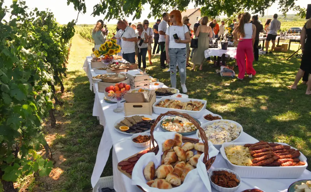 Pjenušavi doručak u vinariji Papak uz pjenušce i slavonske delicije.
