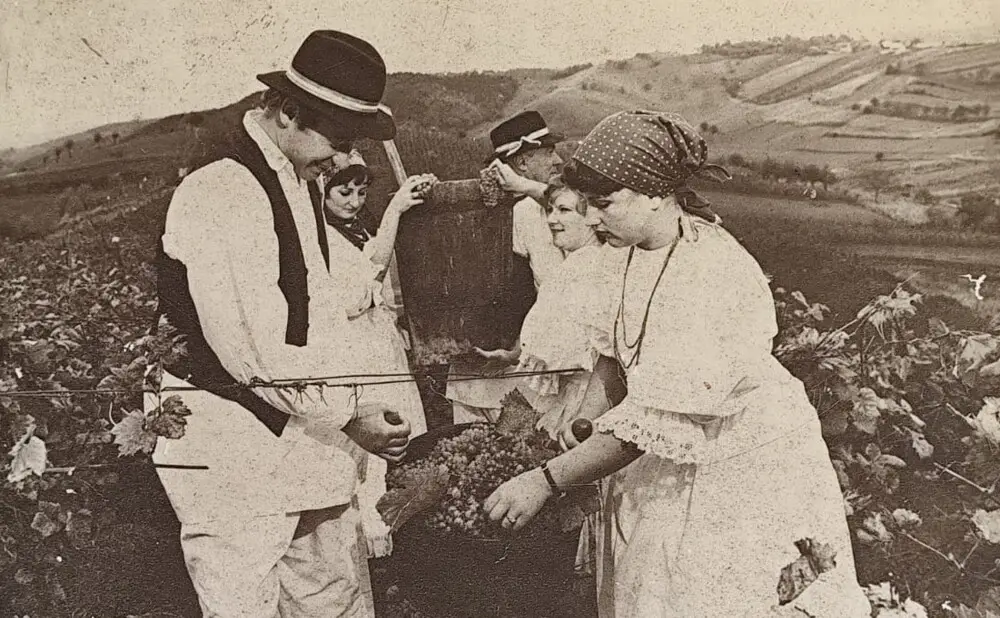Plešivički traminac vinarije Jagunić poznat je po aromatičnim i jantarnim vinima.