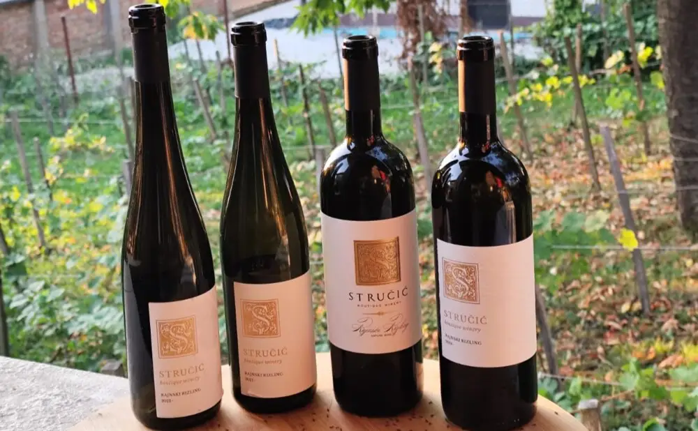 Čaša odležanog rajnskog rizlinga vinarije Stručić s izraženim aromama i mineralnošću.