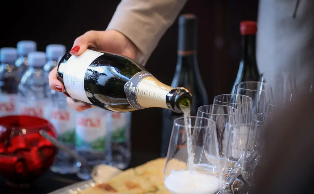 Predstavljanje Dana vina Plešivice 2025. u hotelu Esplanade uz vina i radionice plešivičkih vinara.