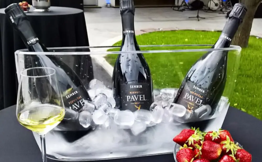 Pjenušac Šember Pavel 2019. iz Plešivice poslužen u čaši kao elegantan izbor za jesenske dane.
