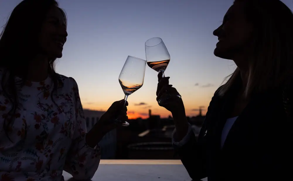 Nova linija vina Sávoj vinarije Belje predstavljena je na krovnoj terasi Kulturnog centra Osijek.