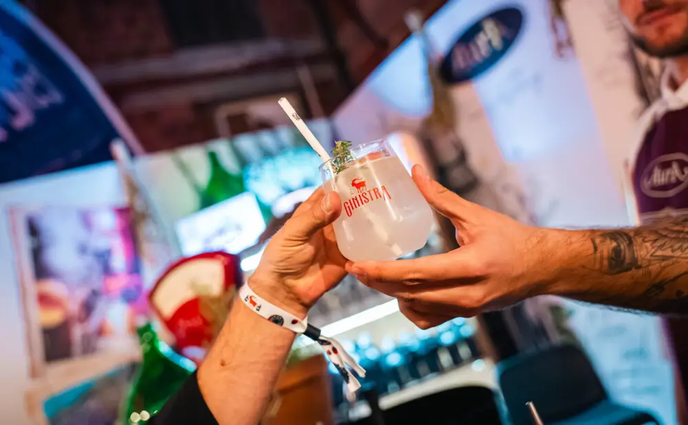 GinIstra 2025 presented London Dry gins, gin liqueurs and distillates from Croatia and Europe.