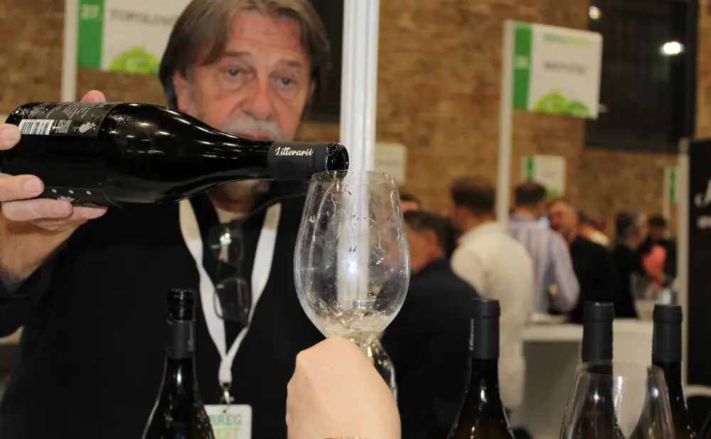 Tasting Frankovka, Sauvignon and Chardonnay at the BregFest wine festival.