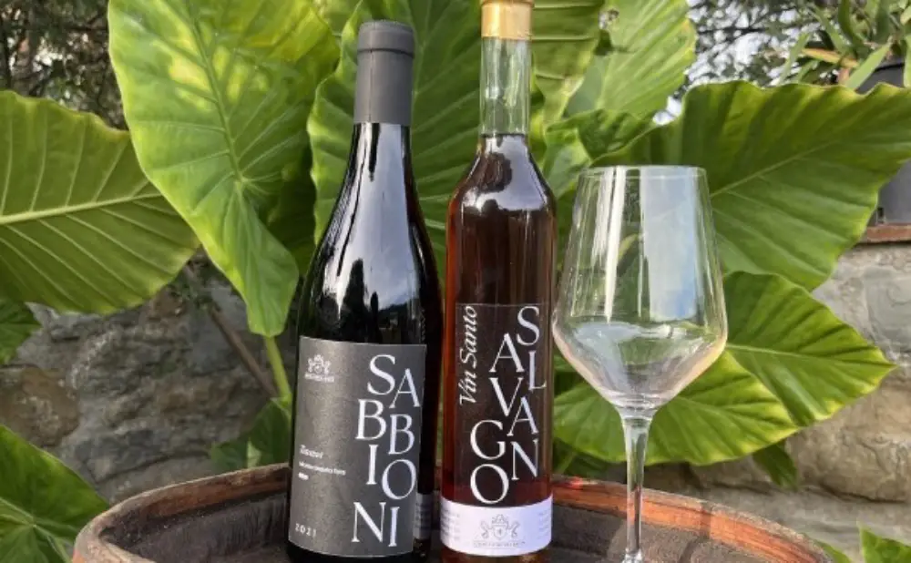 Ekološka vinarija Badini u Toskani njeguje tradicionalne sorte grožđa i proizvodnju vina uz održiv pristup.