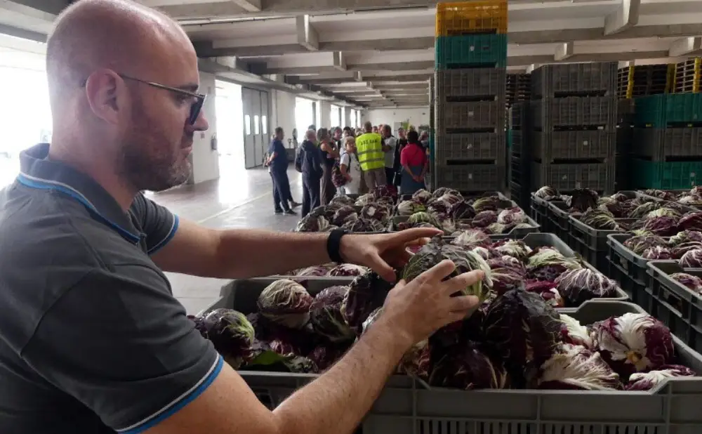 Farma Quintosapore u Umbriji uzgaja ekološko povrće, voće i rijetku etrursku sortu grožđa Malmaturo.