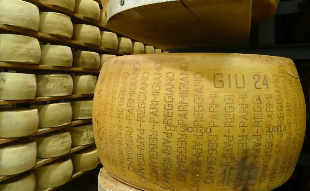 Ekološka sirana Bio Reggiani u Modeni proizvodi Parmigiano Reggiano i organizira edukativne posjete farmi.