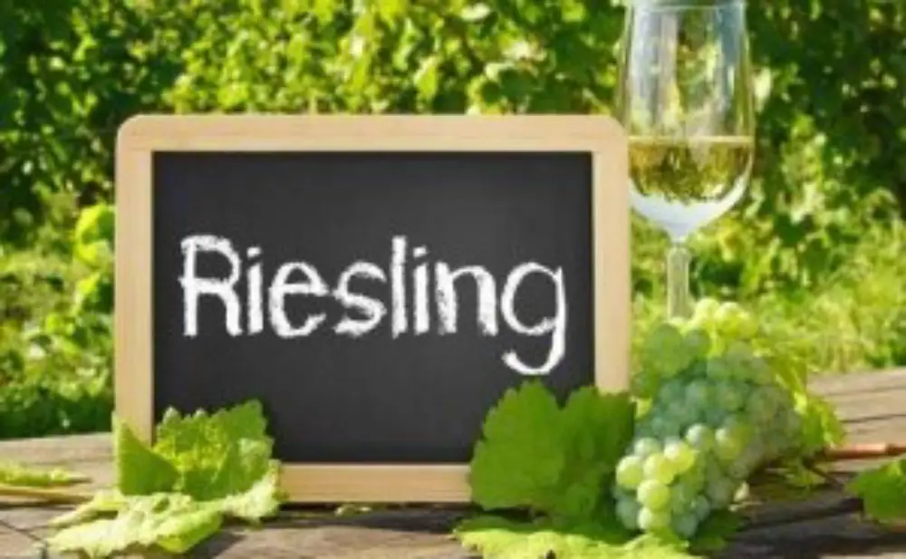 Rizling 2023. Erdoro Classy premijerno predstavljen uoči festivala Rizling Raj(n)ski u Zagrebu.