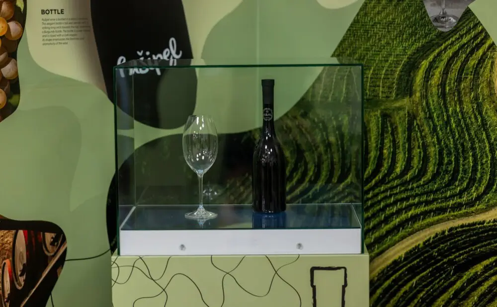 Posjetitelji razgledavaju Svjetski centar Pušipela i upoznaju međimurske sorte vina i vinogradarstvo.