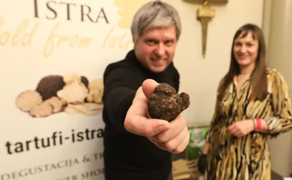 Pjenušci, bijela, crvena i desertna vina predstavljena na izboru 100 najboljih vina Hrvatske.