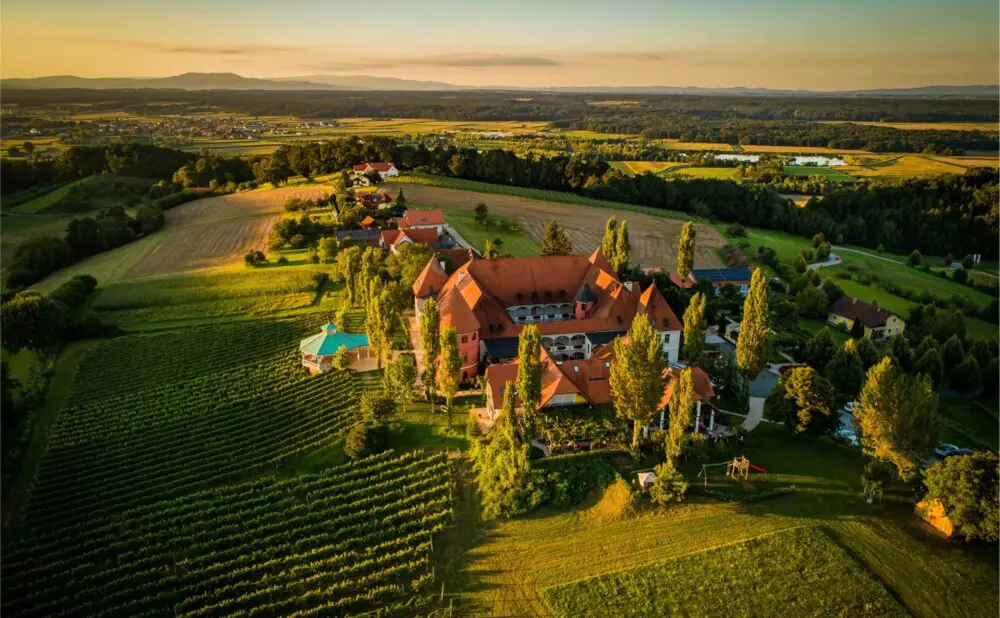 Sauvignon blanc, rizling i graševina među glavnim vinima štajerskih vinarija na vinskom događanju u Zagrebu.