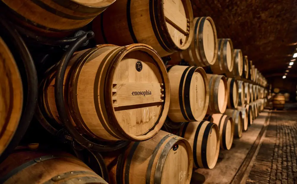Nagrađena vina Enosophije predstavljaju vrhunsku kvalitetu slavonskih crnih, bijelih i pjenušavih vina.
