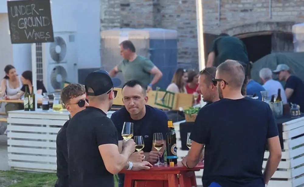 Fotografija atmosfere s Vinatlona u Baranji uz glazbu, vino i druženje među vinogradima.