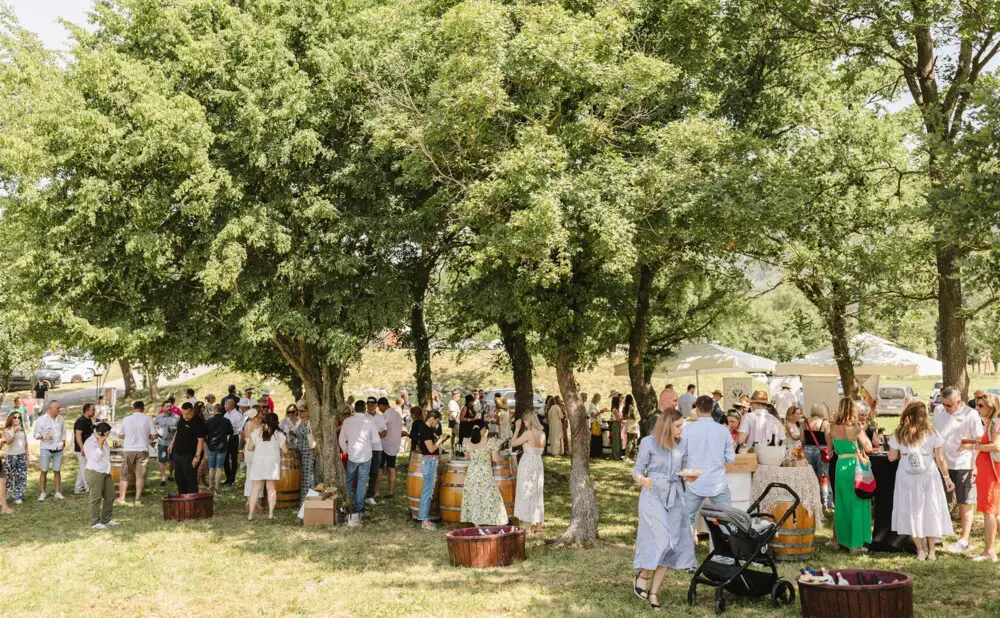 Posjetitelji uživaju u pjenušcima i lokalnim delicijama na Pjenušavom doručku u vinogradu Pavlomir u Novom Vinodolskom.