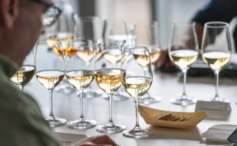 Hrvatska vina osvojila su brojne medalje na Decanter World Wine Awards 2025. među najboljim svjetskim vinima.