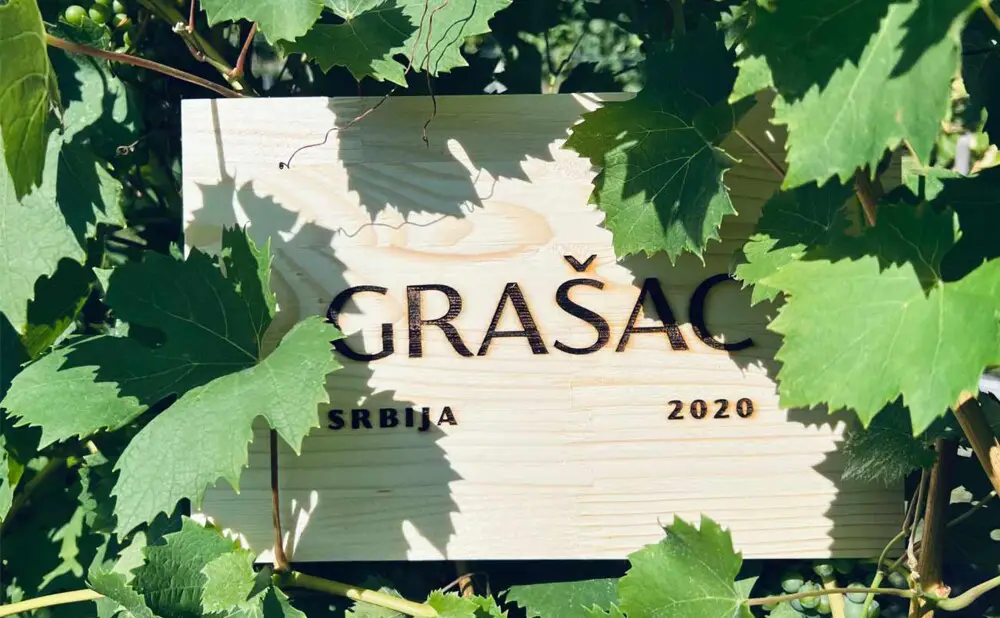 Vinčićev Grašac 2020. osvojio je platinastu medalju i Best in Show priznanje na Decanteru.