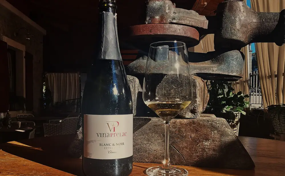 Rosé 2023. vinarije Bastian proglašen je najboljim ružičastim vinom na izboru 100 najboljih vina Hrvatske.