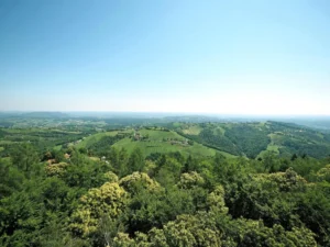 Južna Štajerska – Vinska destinacija koju vrijedi posjetiti!
