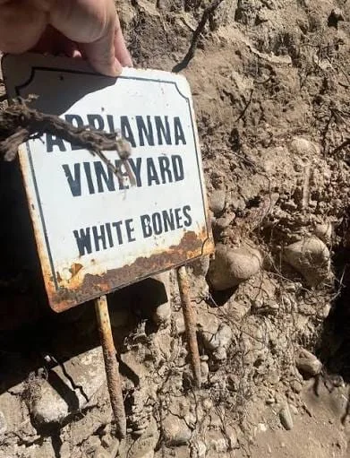 Adrianna Vineyard White Bones, Catena Zapata