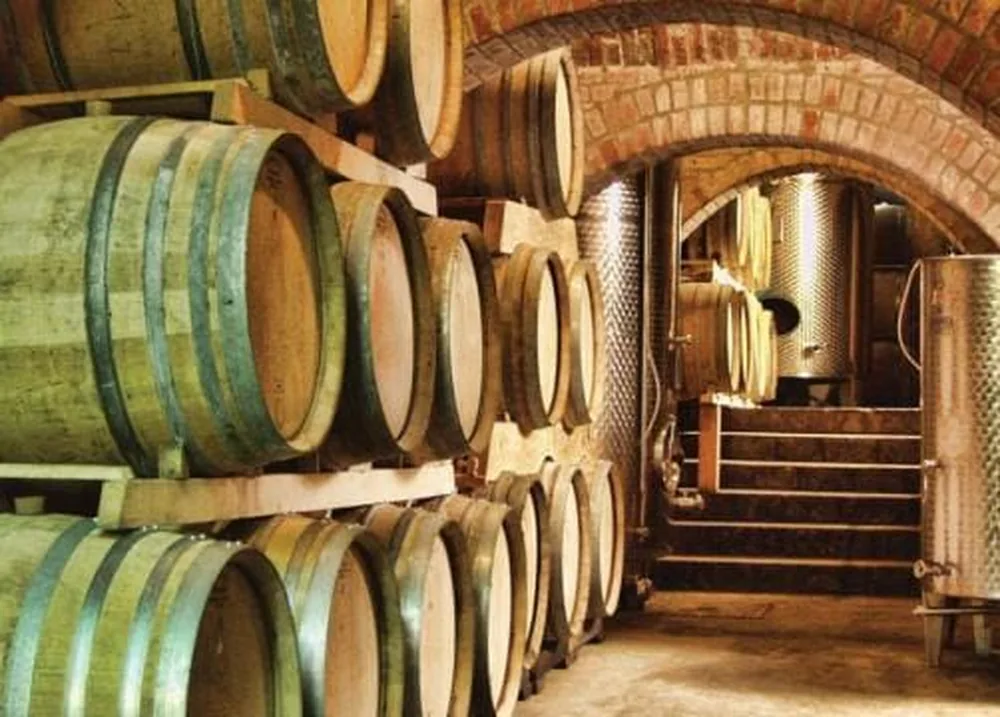 Vinski podrum s drvenim bačvama posloženim uza zid od opeke i inox cisternama za vrenje vina u pozadini.