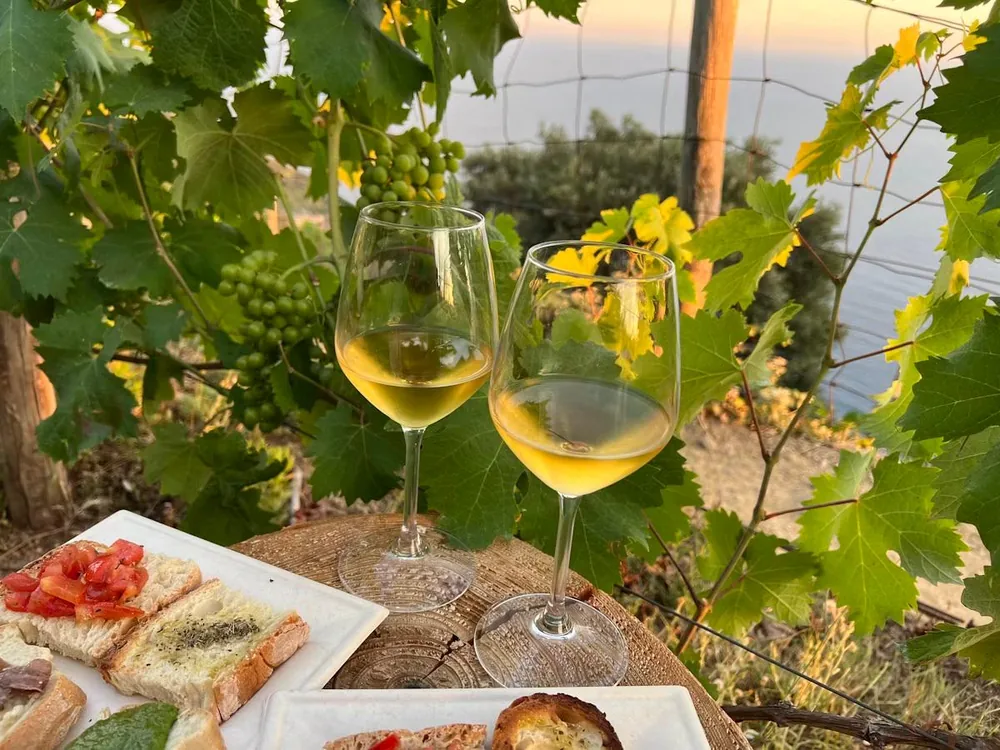 Dvije čaše istarske malvazije uz bruschette na stolu u vinogradu iznad mora