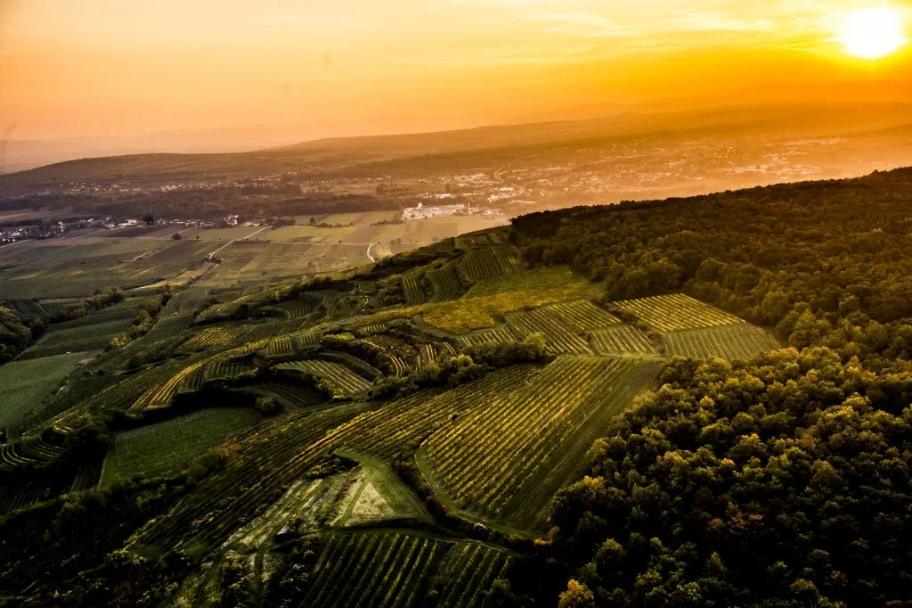 Austrijski vinogradi u zalazak sunca
