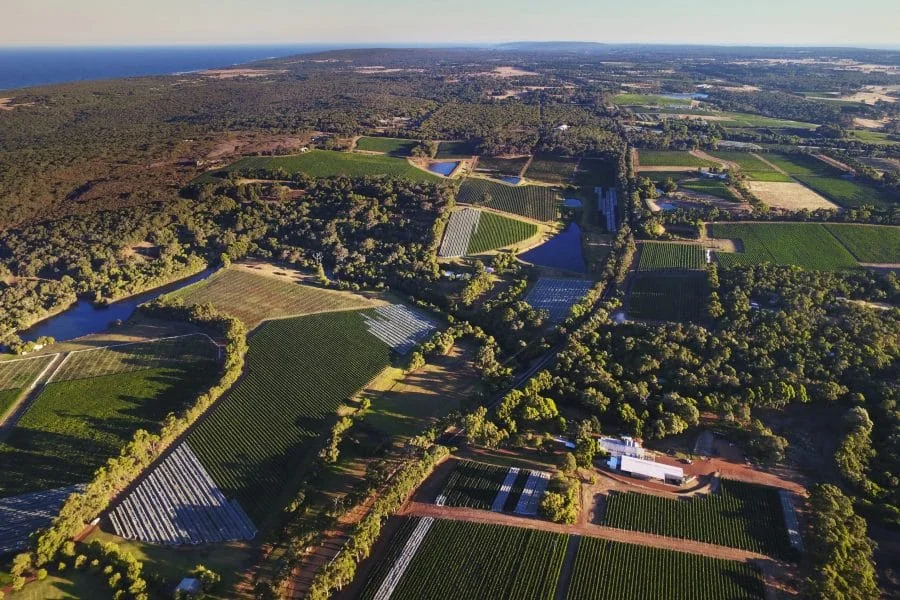 Krešimir Kožić: Margaret River – svjetska klasa između dva oceana