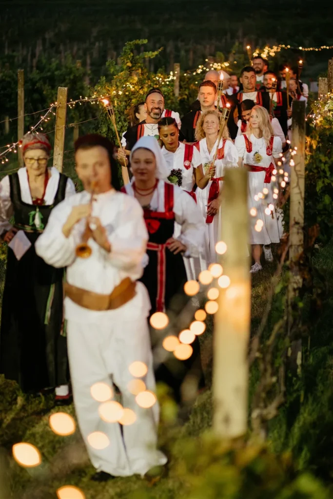 Povorka u narodnim nošnjama kroz vinograd na Ružici Vinodola