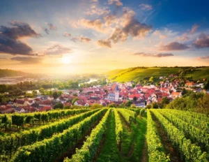 Vinogradi iznad sela u njemačkoj vinskoj regiji Franken u zalazak sunca
