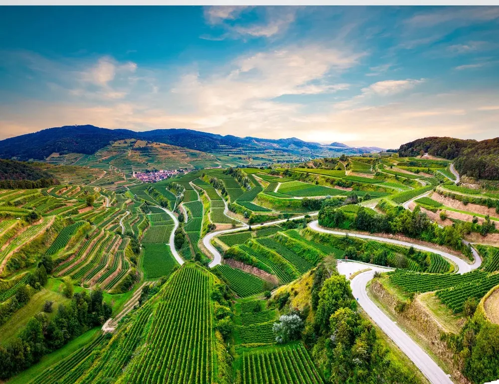 Terasasti vinogradi Kaiserstuhla u njemačkoj regiji Baden iz zraka