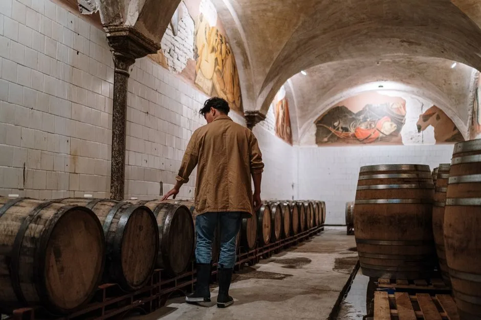 Vinar obilazi bačve u kojima vino odležava na finom talogu