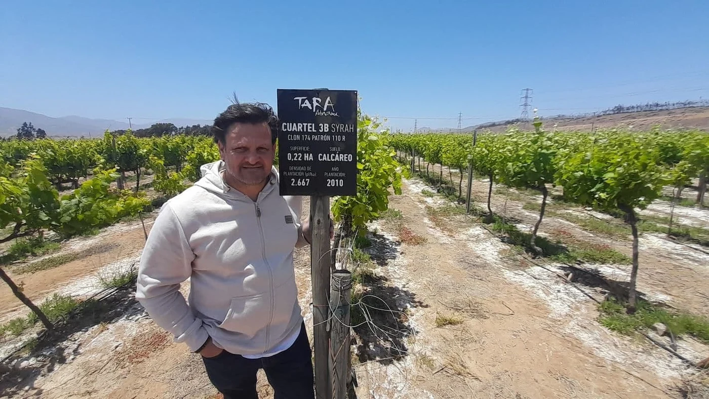 Oznaka parcele i bijelo, isušeno tlo u vinogradu
